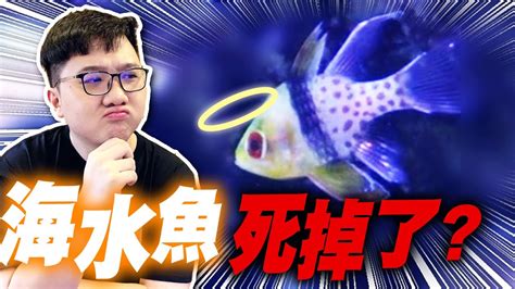 魚死掉怎麼處理|3种方法来判断鱼死没死